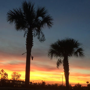 Meet your Posher, Alexa